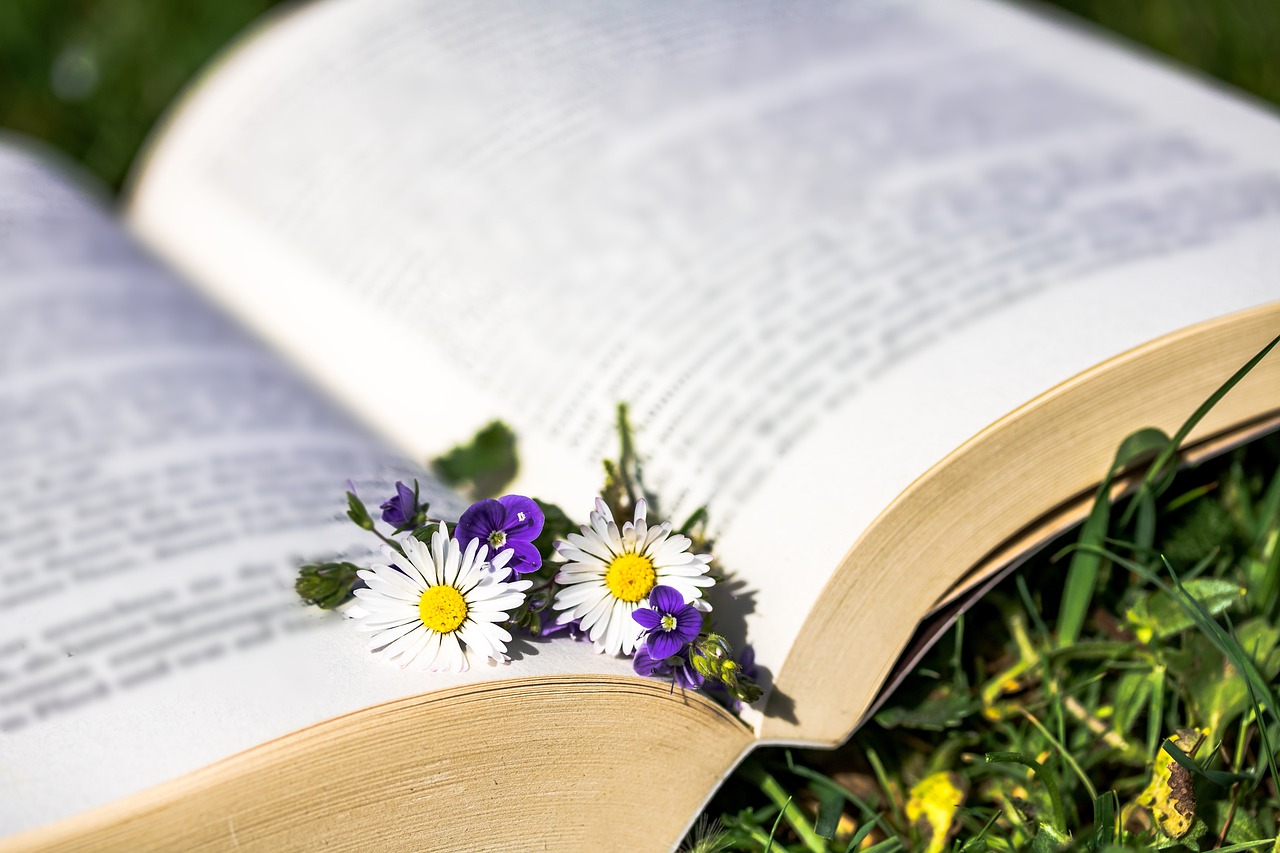 a mix of daisies and wild flowers inside the open pages of a book, on grass
