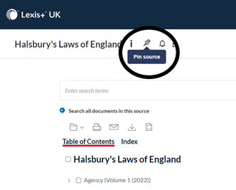 Screenshot of Lexis pinned sources tool