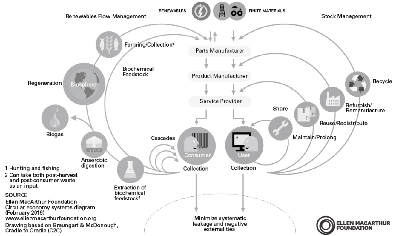Circular Economy Systems Diagram (Butterfly Diagram) by Ellen MacArthur Foundation