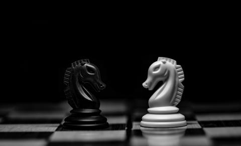 two chess pieces facing each other